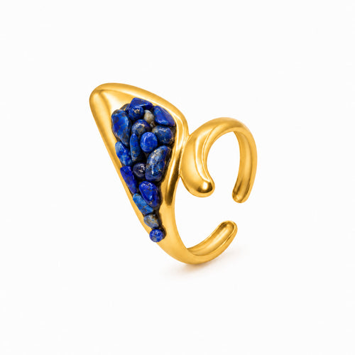 Anello Linfa