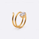 Anello Cometa